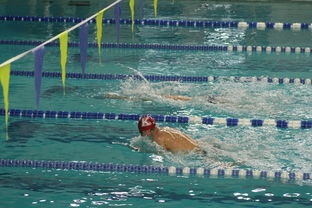 九游电竞站-国际游泳精英赛中国队多人破纪录，国际游泳冠军系列赛